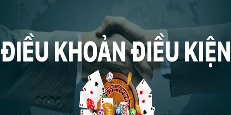 Việc hiểu rõ điều khoản và điều kiện là vô cùng quan trọng Việc hiểu rõ điều khoản và điều kiện là vô cùng quan trọng